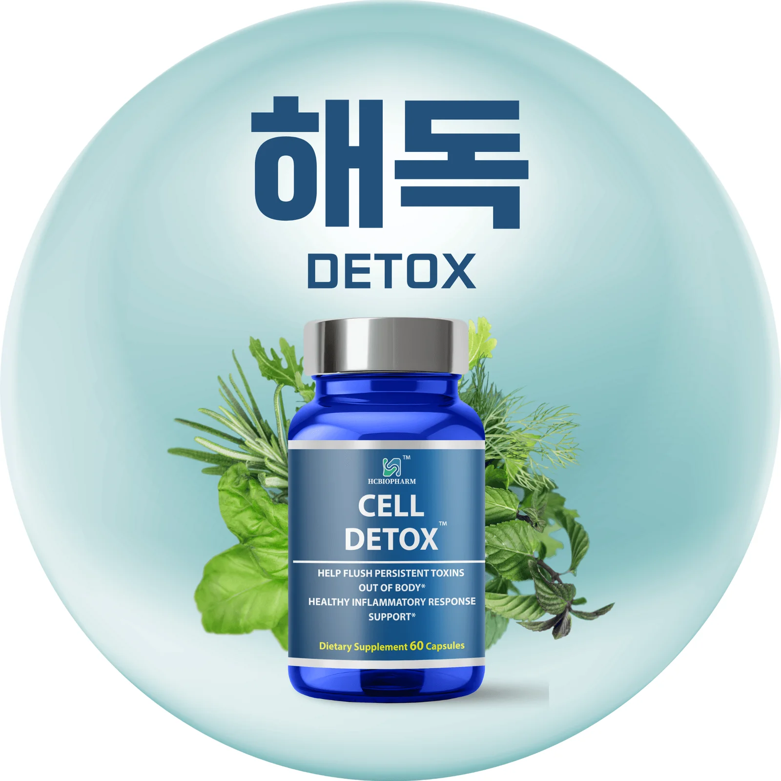 해독